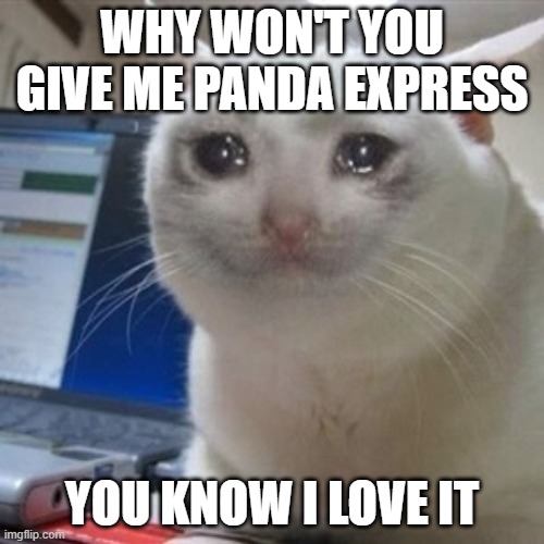 hungry sad cat | WHY WON'T YOU GIVE ME PANDA EXPRESS; YOU KNOW I LOVE IT | image tagged in crying cat | made w/ Imgflip meme maker