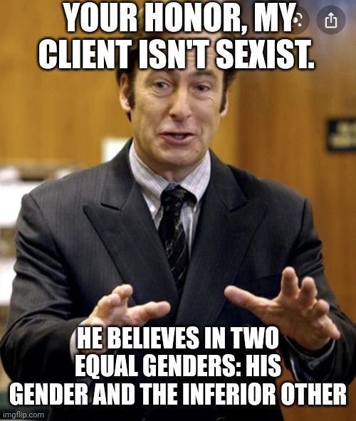 Lmao | YOUR HONOR, MY CLIENT ISN'T SEXIST. HE BELIEVES IN TWO EQUAL GENDERS: HIS GENDER AND THE INFERIOR OTHER | image tagged in your honor | made w/ Imgflip meme maker