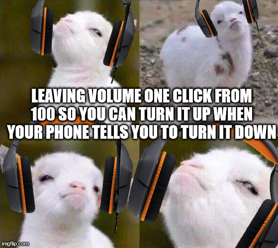Muh ears | LEAVING VOLUME ONE CLICK FROM 100 SO YOU CAN TURN IT UP WHEN YOUR PHONE TELLS YOU TO TURN IT DOWN | image tagged in smug goat,music,iphone,smug,meme,funny | made w/ Imgflip meme maker