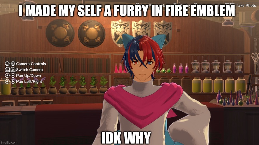 Yeah | I MADE MY SELF A FURRY IN FIRE EMBLEM; IDK WHY | image tagged in furry,oh wow are you actually reading these tags | made w/ Imgflip meme maker