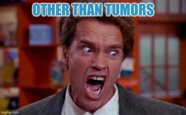 OTHER THAN TUMORS | image tagged in arnold schwarzenegger tumor | made w/ Imgflip meme maker