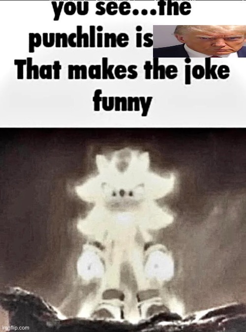 Shadow explains the joke | image tagged in shadow explains the joke | made w/ Imgflip meme maker