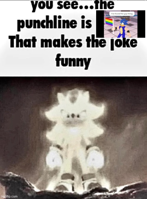 Shadow explains the joke | image tagged in shadow explains the joke | made w/ Imgflip meme maker