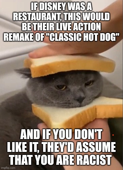 Hit diggity dog! | IF DISNEY WAS A RESTAURANT, THIS WOULD BE THEIR LIVE ACTION REMAKE OF "CLASSIC HOT DOG"; AND IF YOU DON'T LIKE IT, THEY'D ASSUME THAT YOU ARE RACIST | image tagged in cat sandwich | made w/ Imgflip meme maker