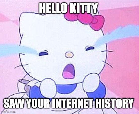 Hello kitty saw your internet history. | HELLO KITTY; SAW YOUR INTERNET HISTORY | image tagged in hello kitty,sanrio,kitty,memes,meme,crying | made w/ Imgflip meme maker