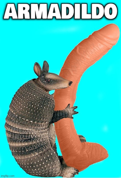 image tagged in armadillo,dildo,sex toys,consolador,animal,dong | made w/ Imgflip meme maker
