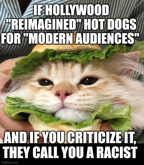 Cat Sandwich | IF HOLLYWOOD "REIMAGINED" HOT DOGS FOR "MODERN AUDIENCES"; AND IF YOU CRITICIZE IT, 
THEY CALL YOU A RACIST | image tagged in cat sandwich | made w/ Imgflip meme maker