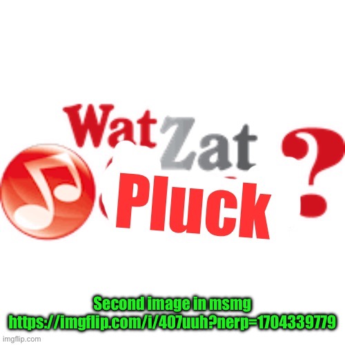 WatZatPluck announcement | Second image in msmg
https://imgflip.com/i/407uuh?nerp=1704339779 | image tagged in watzatpluck announcement | made w/ Imgflip meme maker
