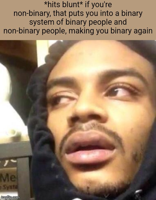i don't mean this with any homophobia, i just thought it was funny | *hits blunt* if you're non-binary, that puts you into a binary system of binary people and non-binary people, making you binary again | image tagged in hits blunt | made w/ Imgflip meme maker