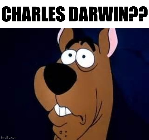 Scooby Doo Surprised | CHARLES DARWIN?? | image tagged in scooby doo surprised | made w/ Imgflip meme maker