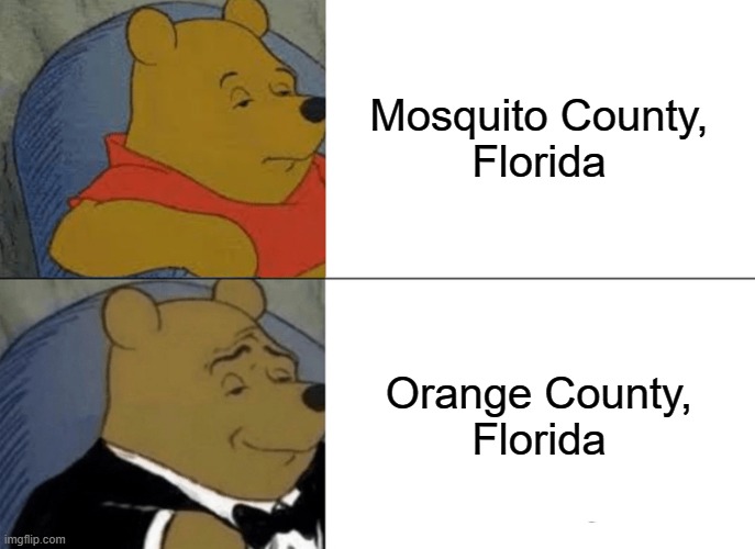Mosquito County Florida Pooh | Mosquito County,
Florida; Orange County,
Florida | image tagged in memes,tuxedo winnie the pooh | made w/ Imgflip meme maker