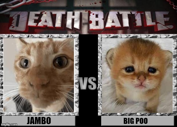 jambo vs big poo | JAMBO; BIG POO | image tagged in death battle,jambo,big poo,cat | made w/ Imgflip meme maker