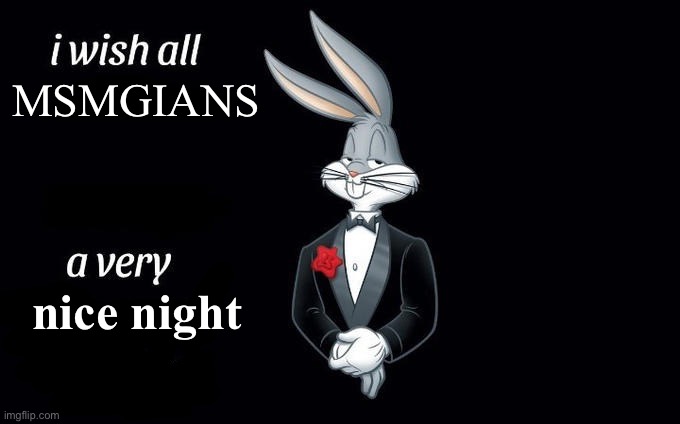 I wish all x a very y | MSMGIANS; nice night | image tagged in i wish all x a very y | made w/ Imgflip meme maker
