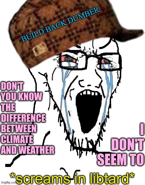 screams in libtard | DON'T YOU KNOW THE DIFFERENCE BETWEEN CLIMATE AND WEATHER I DON'T SEEM TO | image tagged in screams in libtard | made w/ Imgflip meme maker