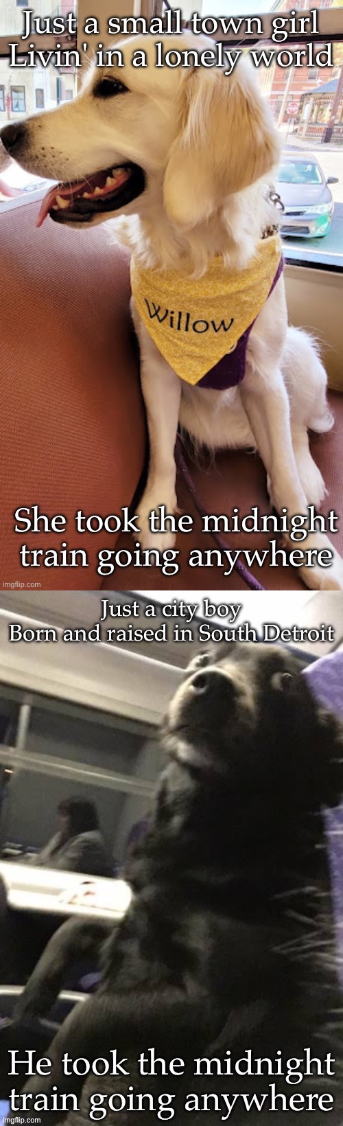 Don’t stop believing | image tagged in journey,train,small,town,city | made w/ Imgflip meme maker