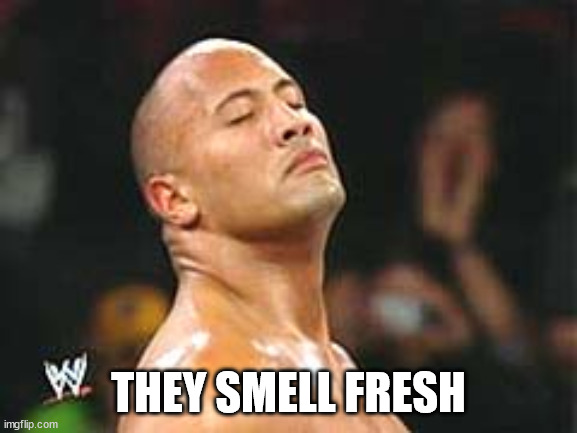 The Rock Smelling | THEY SMELL FRESH | image tagged in the rock smelling | made w/ Imgflip meme maker