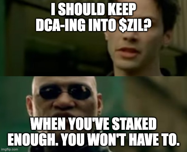 Matrix You Won't Have To | I SHOULD KEEP DCA-ING INTO $ZIL? WHEN YOU'VE STAKED ENOUGH. YOU WON'T HAVE TO. | image tagged in matrix you won't have to | made w/ Imgflip meme maker