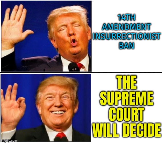 Disqualifying Insurrectionists and Rebels | 14TH AMENDMENT
INSURRECTIONIST
BAN; THE SUPREME COURT WILL DECIDE | image tagged in trump no yes,donald trump,trump,president_joe_biden,sad joe biden,creepy joe biden | made w/ Imgflip meme maker