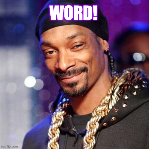 Word! Snopp Dogg nails it. | WORD! | image tagged in snoop dogg | made w/ Imgflip meme maker