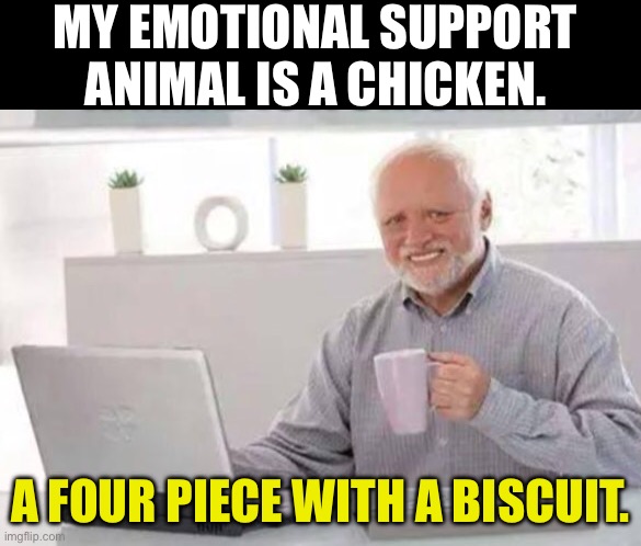Chicken | MY EMOTIONAL SUPPORT ANIMAL IS A CHICKEN. A FOUR PIECE WITH A BISCUIT. | image tagged in harold | made w/ Imgflip meme maker
