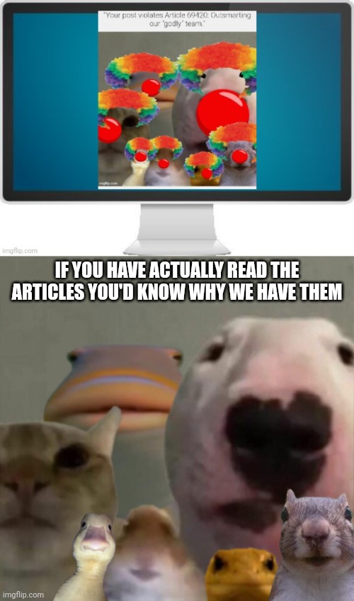 Someone doesn't read the articles | IF YOU HAVE ACTUALLY READ THE ARTICLES YOU'D KNOW WHY WE HAVE THEM | image tagged in the council remastered | made w/ Imgflip meme maker