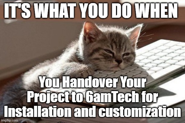 Sleepy Kitten | IT'S WHAT YOU DO WHEN; You Handover Your Project to 6amTech for Installation and customization | image tagged in sleepy kitten | made w/ Imgflip meme maker