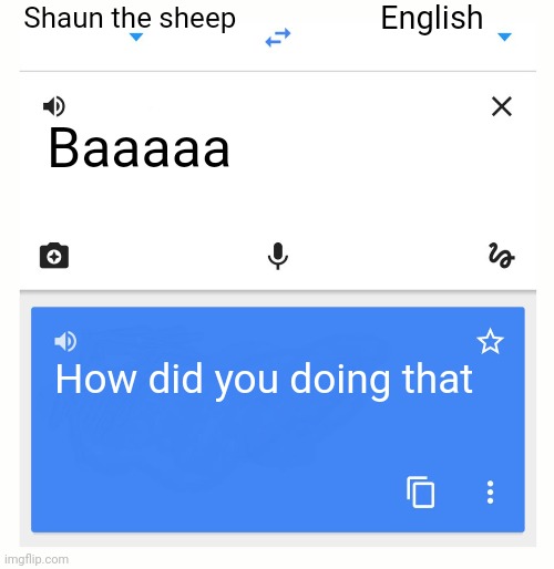 Languages in Ohio | Shaun the sheep; English; Baaaaa; How did you doing that | image tagged in google translate,ohio | made w/ Imgflip meme maker