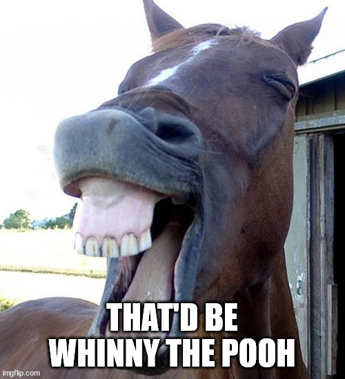 Funny Horse Face | THAT'D BE WHINNY THE POOH | image tagged in funny horse face | made w/ Imgflip meme maker