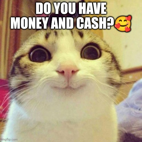 Do you want to save the poor cat?, he needs money | DO YOU HAVE MONEY AND CASH?🥰 | image tagged in memes,smiling cat,cats,funny cats | made w/ Imgflip meme maker
