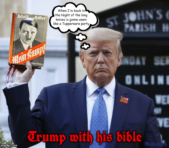 Trump's bible | image tagged in donald trump,nazi,hjitler,maga,mein kampf,fascist | made w/ Imgflip meme maker