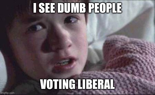 I See Dead People | I SEE DUMB PEOPLE; VOTING LIBERAL | image tagged in memes,i see dead people | made w/ Imgflip meme maker