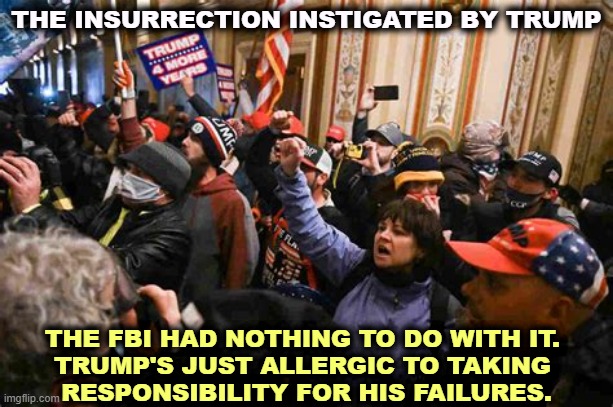You remember Trump personally invited everybody on December 19th. That's not the FBI. That's Trump. | THE INSURRECTION INSTIGATED BY TRUMP; THE FBI HAD NOTHING TO DO WITH IT. 
TRUMP'S JUST ALLERGIC TO TAKING 
RESPONSIBILITY FOR HIS FAILURES. | image tagged in trump's attempted coup capitol riot insurrection,trump,insurrection,responsibility,failure | made w/ Imgflip meme maker