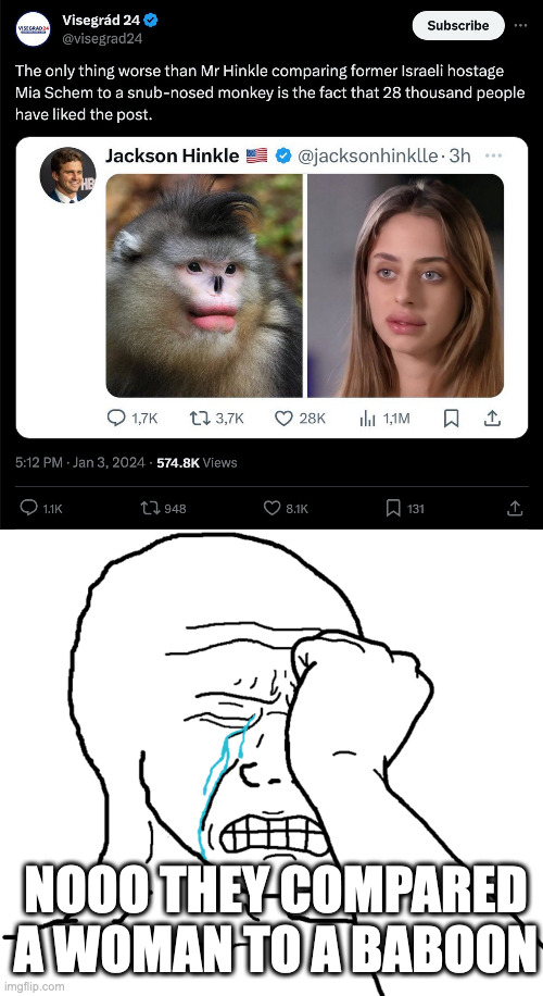 politics aside, imagine getting this upset about his tweet | NOOO THEY COMPARED A WOMAN TO A BABOON | image tagged in wojak crying | made w/ Imgflip meme maker