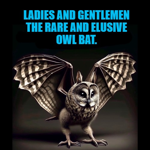 Owl bat | LADIES AND GENTLEMEN
THE RARE AND ELUSIVE
OWL BAT. | image tagged in kewlew,owl bat | made w/ Imgflip meme maker