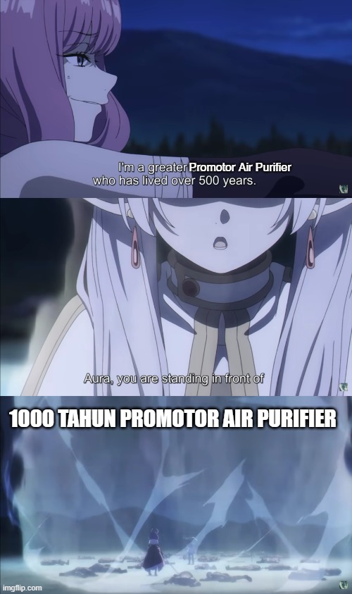 Sepuh nya Suhu | Promotor Air Purifier; 1000 TAHUN PROMOTOR AIR PURIFIER | image tagged in aura,frieren,meme,anime,frieren beyond journey's end | made w/ Imgflip meme maker