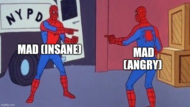 When the word mad (insane) meets the word mad (angry) | MAD (INSANE); MAD (ANGRY) | image tagged in spiderman pointing at spiderman | made w/ Imgflip meme maker