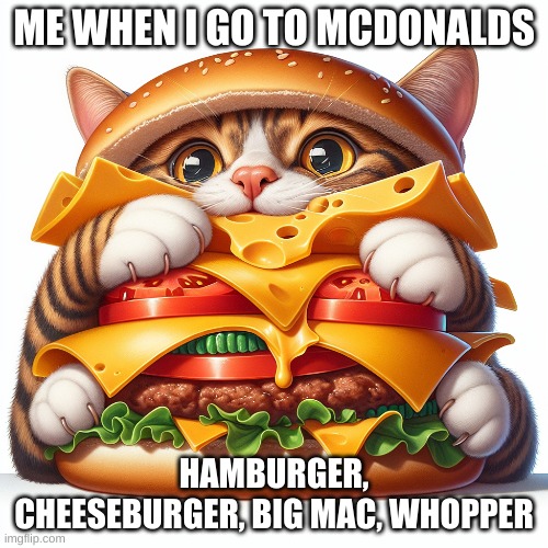 Cat eating cheeseburger | ME WHEN I GO TO MCDONALDS; HAMBURGER, CHEESEBURGER, BIG MAC, WHOPPER | image tagged in cheeseburger | made w/ Imgflip meme maker
