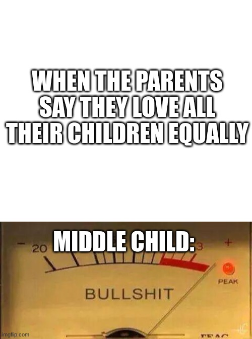 WHEN THE PARENTS SAY THEY LOVE ALL THEIR CHILDREN EQUALLY; MIDDLE CHILD: | image tagged in bullshit meter | made w/ Imgflip meme maker