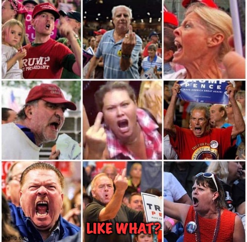 Triggered Trump supporters | LIKE WHAT? | image tagged in triggered trump supporters | made w/ Imgflip meme maker