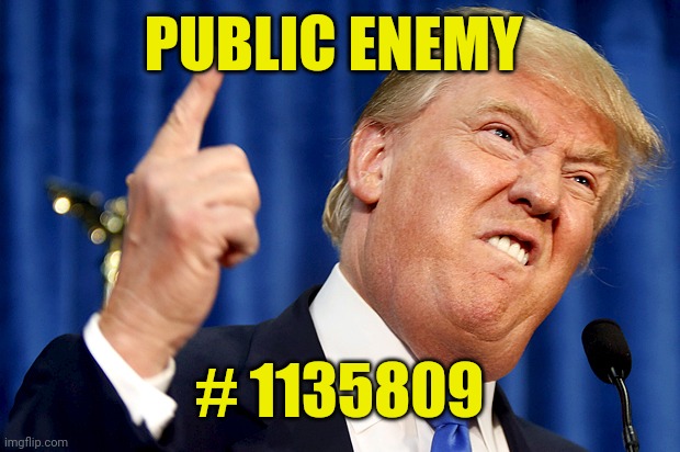 Donald Trump | PUBLIC ENEMY; # 1135809 | image tagged in donald trump | made w/ Imgflip meme maker
