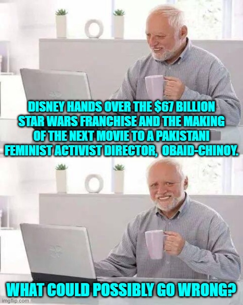 I think that Disney executives are trying to prove that THEIR company is too big to fail. | DISNEY HANDS OVER THE $67 BILLION STAR WARS FRANCHISE AND THE MAKING OF THE NEXT MOVIE TO A PAKISTANI FEMINIST ACTIVIST DIRECTOR,  OBAID-CHINOY. WHAT COULD POSSIBLY GO WRONG? | image tagged in hide the pain harold | made w/ Imgflip meme maker