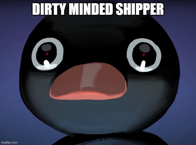 Pingu stare | DIRTY MINDED SHIPPER | image tagged in pingu stare | made w/ Imgflip meme maker