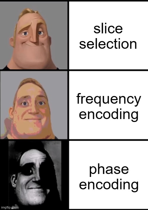 3 Frame Uncanny Mr. Incredible | slice selection; frequency encoding; phase encoding | image tagged in 3 frame uncanny mr incredible,mri,radiology | made w/ Imgflip meme maker