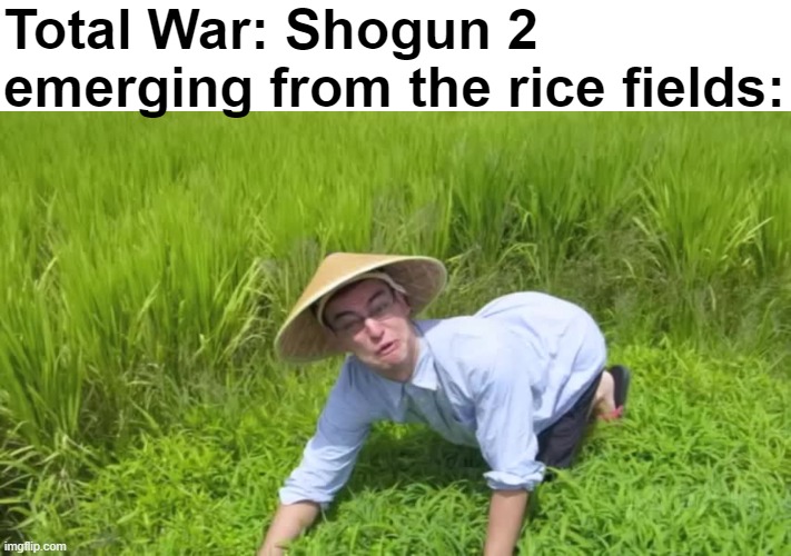 WELCOME TO THE RICE FIELDS | Total War: Shogun 2 emerging from the rice fields: | image tagged in welcome to the rice fields | made w/ Imgflip meme maker