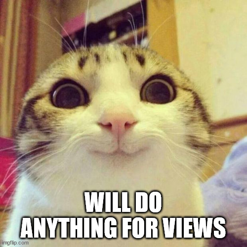 Smiling Cat Meme | WILL DO ANYTHING FOR VIEWS | image tagged in memes,smiling cat | made w/ Imgflip meme maker