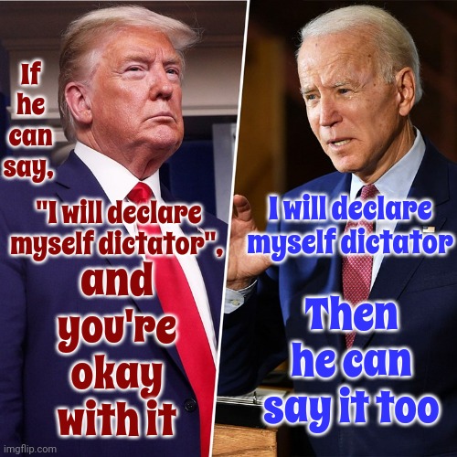 What's Good For The Goose Is Good For The Gander | If he can say, I will declare myself dictator; "I will declare myself dictator", and you're okay with it; Then he can say it too | image tagged in trump biden,double standards,scumbag trump,scumbag maga,lock him up,memes | made w/ Imgflip meme maker
