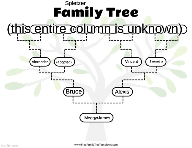 Spletzer Family Tree | Spletzer; (this entire column is unknown); Vincent; Alexander; Samantha; (adopted); Bruce; Alexis; Meggy/James | image tagged in smg4 | made w/ Imgflip meme maker