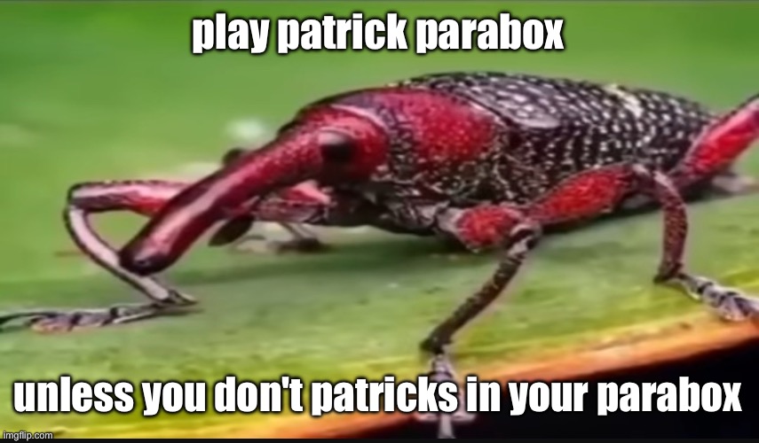 bug | play patrick parabox; unless you don't patricks in your parabox | image tagged in bug | made w/ Imgflip meme maker