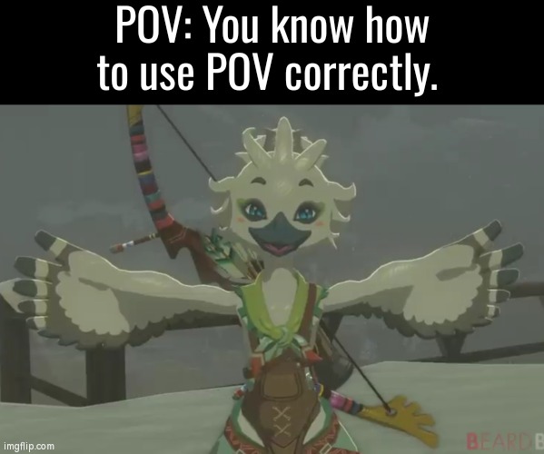 To people who really don't know what POV is. POV = Point of View | POV: You know how to use POV correctly. | image tagged in memes,funny,pov,correct | made w/ Imgflip meme maker