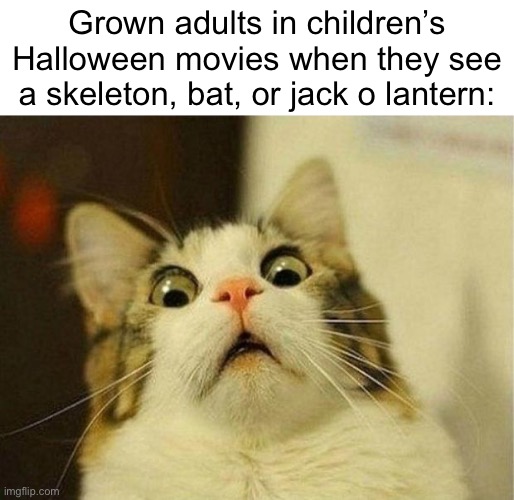 Example: The new Addams Family movie | Grown adults in children’s Halloween movies when they see a skeleton, bat, or jack o lantern:; WHY R U READING THE DESCRIPTION? READ THE MEME! | image tagged in memes,scared cat | made w/ Imgflip meme maker